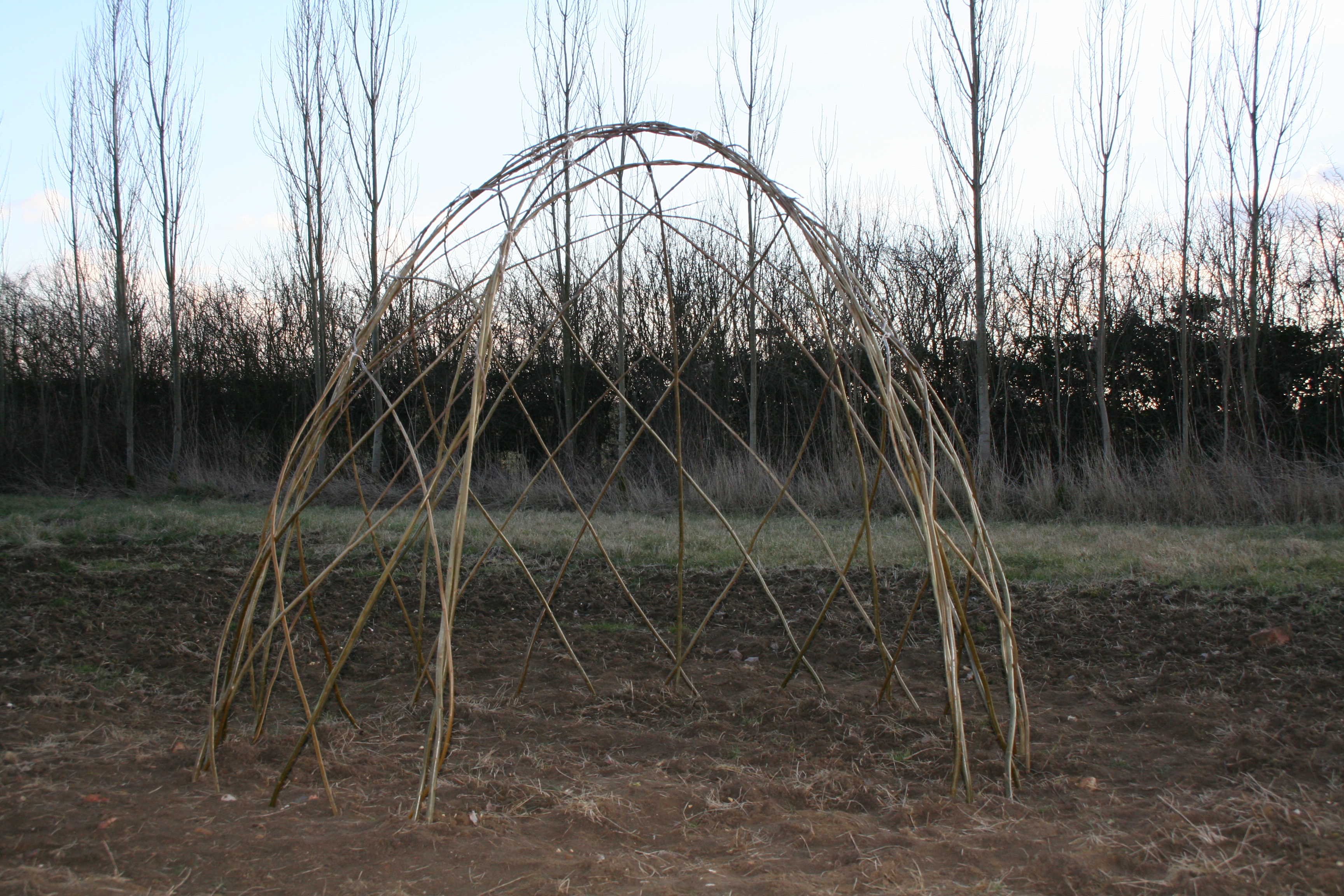 Living Willow Dome Kit